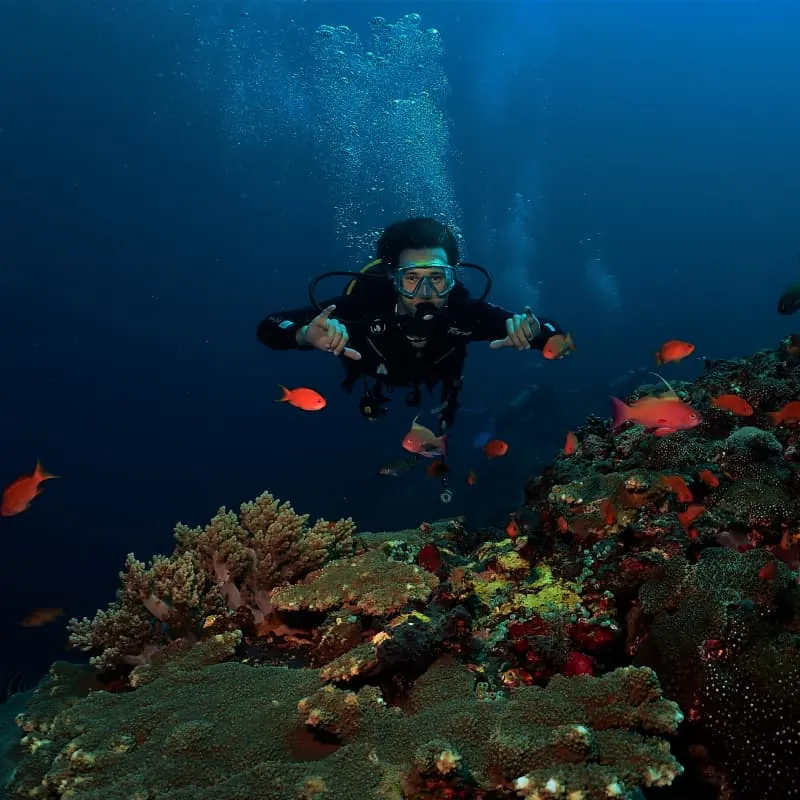 Padangbai Scuba Diving Bali - Gallery 6